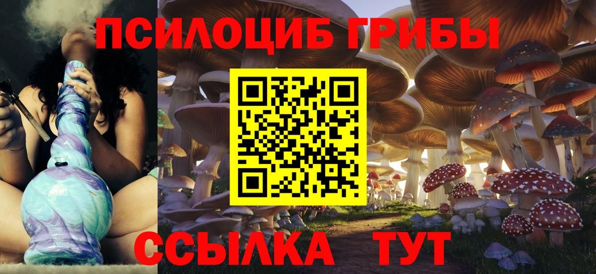 Шатура  Галлюциногенные грибы MAGIC MUSHROOMS  Вход с VPN 